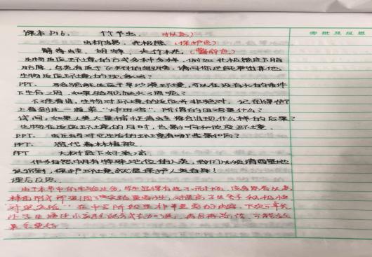 二段后2.jpg